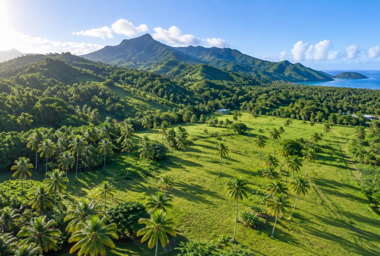 Aerial view of green tropical hills and open land with palm trees